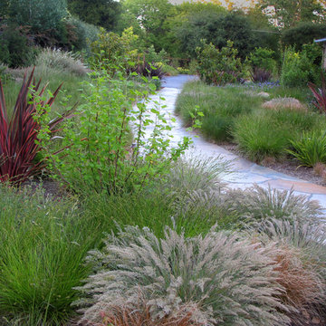 Our Gardens