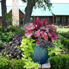 Front flower beds