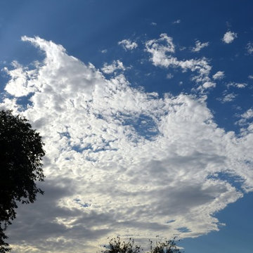 Monsoon