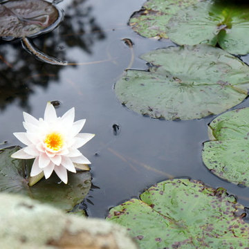 Zen Garden Retreat