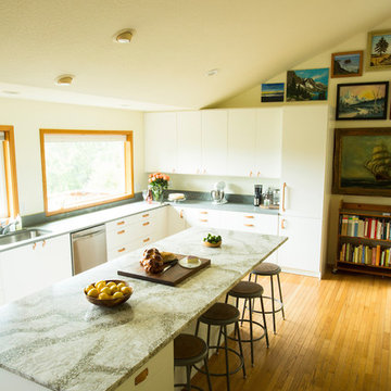 IKEA Kitchen Remodel to Frame Mountain View