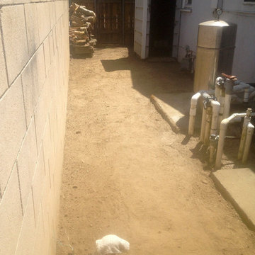 My Project