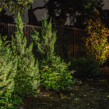 Low Voltage Up Lighting and Moon Lighting- Southlake