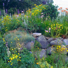 rock gardens