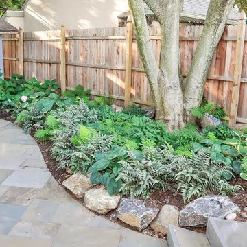 Shade Gardens