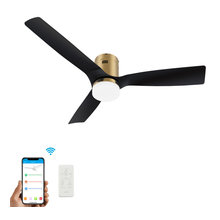 ceiling fans