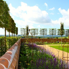 bela Bull Pen