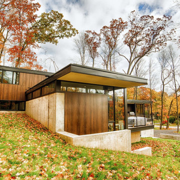 Terraced House - Elm Grove - Modern Wood Exterior in a Wooded Suburban Setting