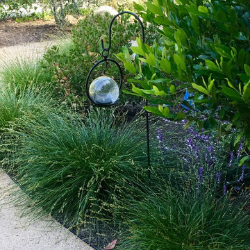 Ornamental grasses