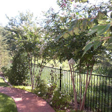 Fences & Plant Decor