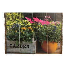 Landscape Ideas