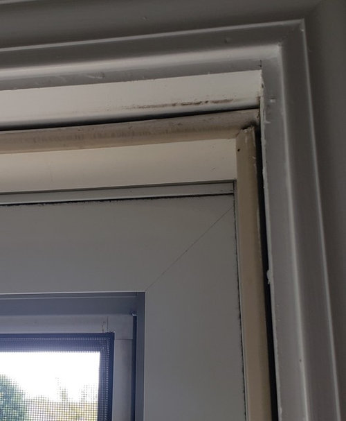 Door and Frame Replacement?