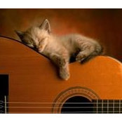 Martine Bernier's photo