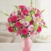 Sarah Sameh's photo