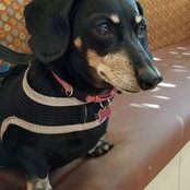 Kim P's photo