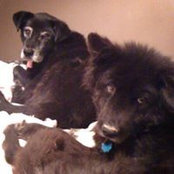 Traci Davis's photo