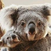 Eileen Maciejak's photo