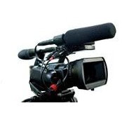 David Hodge's photo