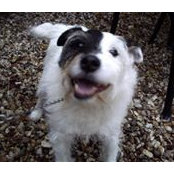 Stephen Edwards's photo