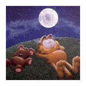 Chris Powell's photo