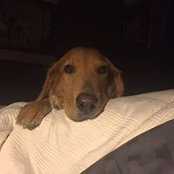 Michael Conklin's photo