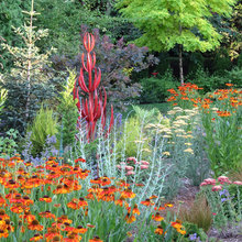 Landscape Ideas