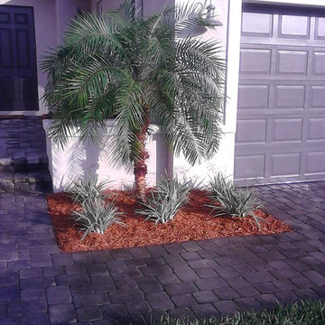 Our Work