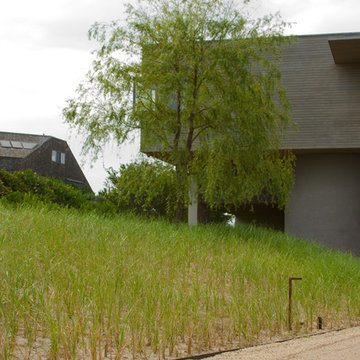 Modern Beach House