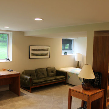 Basement Remodel