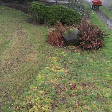 Master Gardener Landscape Makeover Rain Garden