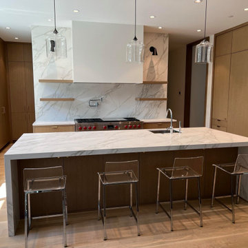 Contemporary Design Kitchen