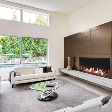 Single-Sided Barrier Glass Plaza Fireplaces