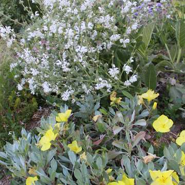 Fun, Flowers, & Food at El Rancho Calypso