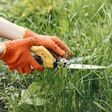 What Causes Patchy Grass and How to Fix It