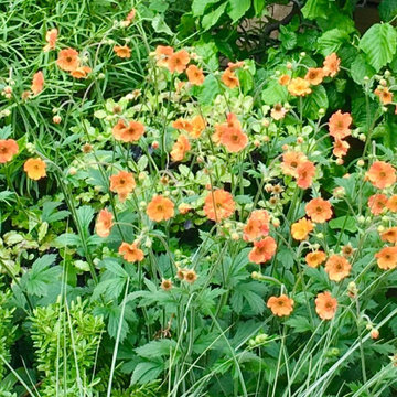 https://www.fionalambdesign.com/oxfordshire-garden