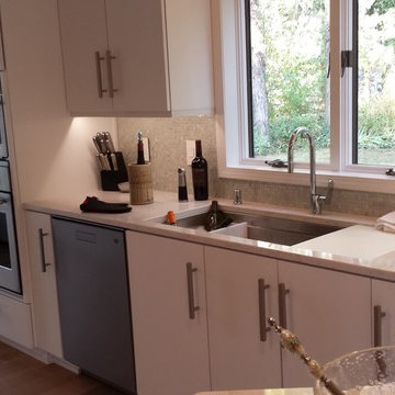 White Slab Door Kitchen