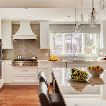 Gorgeous Kitchen Reno in Arlington Heights