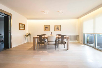 Example of a large trendy light wood floor enclosed dining room design in Other with white walls and no fireplace