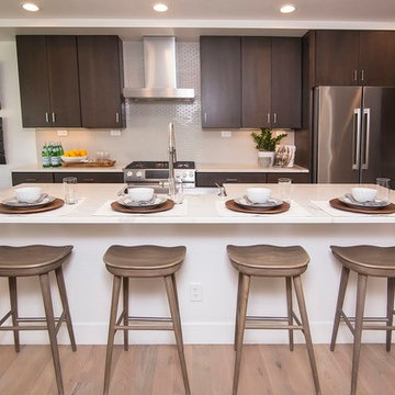 Contemporary/Modern Styles