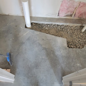 Basement Finish with bathroom