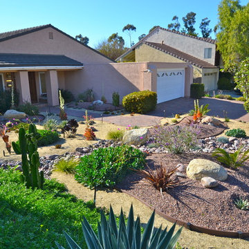 92124-Tierrasanta-Colorful Xeriscape/ Low Water/ Low Maintenance Front Yard