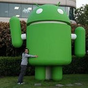 Bram Vandeperre's photo