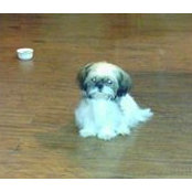 Mary Jo Sajak's photo