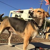Zolie Zeisler's photo