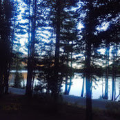 Toby's photo