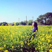 Jie Zheng's photo