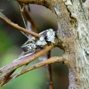 Jennifer Ladd's photo