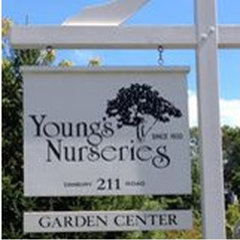Young's Nurseries