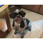 Alyssa Eichelberger's photo