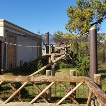 Oklahoma City Zoo - AZFA Red Panda Animal Exhibit (2019)